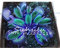 10 piezas Azul exótico Semilla de plantas insectívoras Las suculentas Dionaea Bonsai Semilla Venus Fly Trap plantas carnívoras crezca fácil