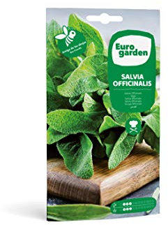 Eurogarden - Semillas de Salvia Officinalis, Planta aromática culinaria, 2 g - 2607