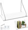 xyuayamz Pflanzen Wandhalterung Indoor, Wandablagen Klein für Pflanzen, Regal für Pflanzen Wand, Pflanzen Wandregal für Küche Badezimmer Wohnzimmer, Acryl, Transparent