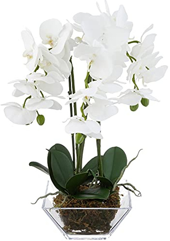 Nearly Natural 4570 Triple Phalaenopsis Orchid in Glass Vase,Green/White