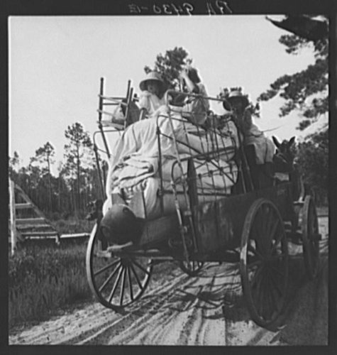 HistoricalFindings Photo: Turpentine Country,Florida,FL,Farm Security Administration,Dorothea Lange,FSA