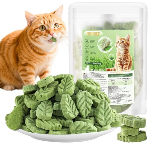Katzengras Snacks, Gefriergetrocknet Katzengras für Katzen, 50g Katzengras Fertig Gewachsen für die Zahnpflege, Katzengras Sticks Haarknäuel Entfernen