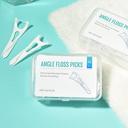 Dental Floss Toothpick Multifunctional Mint Flavored Dental Floss Stick Portable Orthodontic Toothpick Cleaner (40 Sticks)...(1 Box)