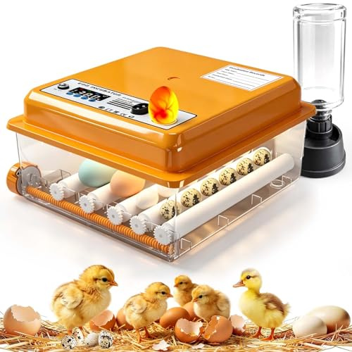 Incubadora Huevos Gallina, Incubadoras De Huevos Automaticas Con Control Temperatura & Volteador, Suministro De Agua | Ovoscopio, Para Gallina/Pato/Codorniz