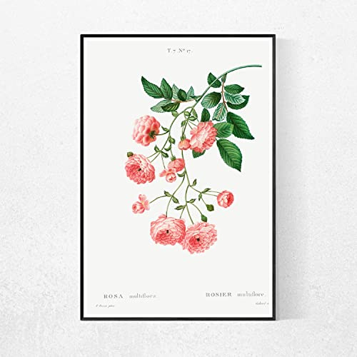 Loyience PRINTABLE WALL ART Rambler Rose Flower Poster, Wall Decor, Home Decor, Printable Art, Botanical Print,Wall art, living room canvas, dining room decorations, frameless 12x16inch
