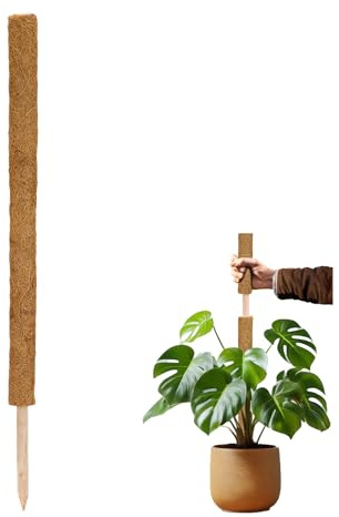 La Cordeline Tuteur Plante Grimpante, Support Coco Naturel pour Monstera, 90cm 1 pièce