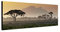 Wandbild auf Leinwand als Panorama in 120x40 cm Afrika bei Sonnenuntergang! Afrikanische Savanne mit Baum und Berge.Serengeti mit Graslandschaft.