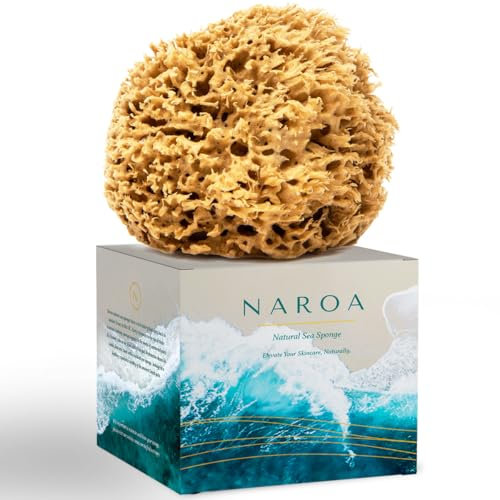 NAROA Natural Soft Honeycomb Sea Sponges for Shower in Gift Box | Gentle Sea Loofah for Healthy Skin | Smooth Body Puff Relaxing Bathing Men Women (Small)