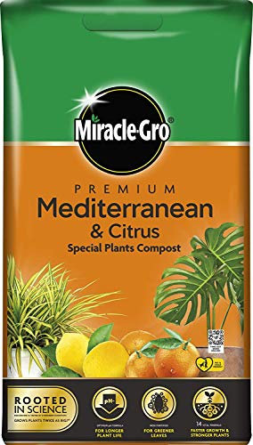 Miracle-Gro 2 x Mediterranean Citrus Compost - 6L BAG, (New 2020 Range)