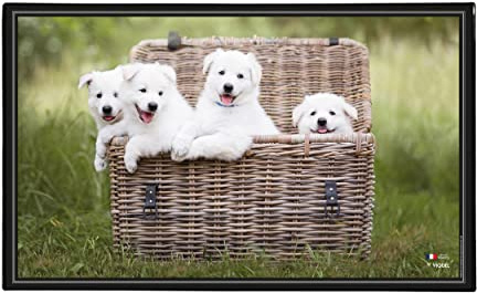 Viquel Sous main bureau motif Chien - Protection de bureau chiots