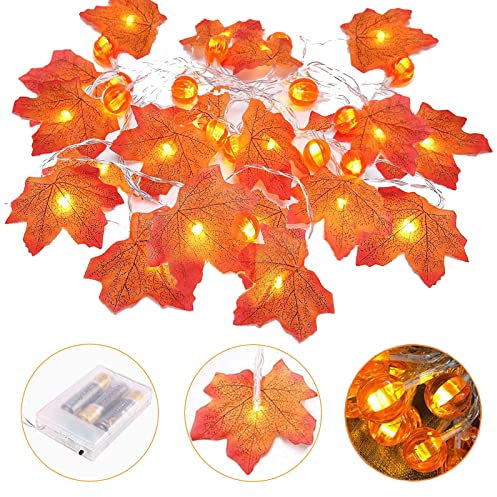 Eledreme lichterkette herbst Halloween lichterkette 3 Meter 20 LED, Ahornblätter kürbis deko Lichterketten für herbstdeko, Erntedankfest Deko, halloween deko outdoor