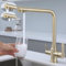SkyPanda 3 Wege Küchenarmatur, Gold Trinkwasser Küchenarmatur mit Doppelhebel, Durchdringung 3-in-1, 360° drehbarer Mischer, mit 2-Ausgängen, 304 Edelstahl, Gold gebürstet
