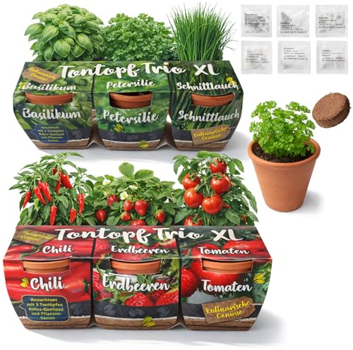 com-four® 6 macetas de barro con semillas y sustrato – mini invernadero para chile, fresa, tomate, albahaca, perejil y cebollino – kit de cultivo para balcón (Kit de cultivo 12)