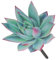 BESPORTBLE Eleganter Sukkulentenstecker Aus Acryl Vielseitiger Gartenstecker für Die Frühlingsdekoration