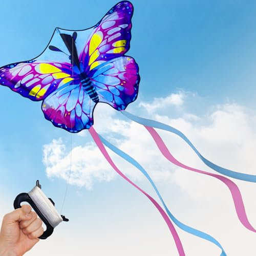 JJJZAMZ Drachen Schmetterling Kinder Rosa, Lenkdrachen Kinder Erwachsene 110 * 76cm, Flugdrachen Kinder mit 100m Drachenschnur, Sandspielzeug, Outdoor Spiele Kinderdrachen ab 3