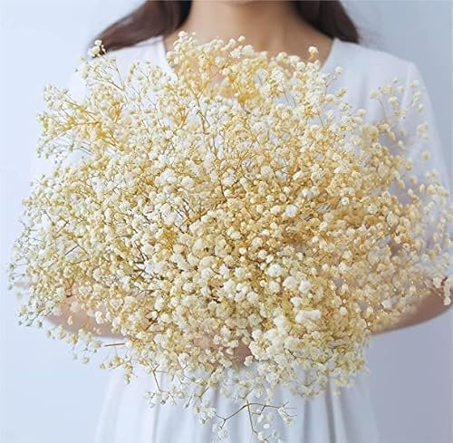 Oning Schleierkraut getrocknet,Natürlich Gypsophila Trockenblumen, über 2000 Blütenknospe Echt Trockenblumenstrauß für Hochzeit Brautsträuße Vasen Pampasgras Deko ( ca. 43 cm )