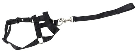 CHICIRIS Cavezza di Controllo Sicura per Bocca del Cane Regolabile, Corda per Museruola, per Cani da Addestramento, Poliestere, 1 unità (M)