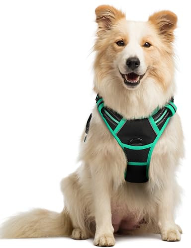 rabbitgoo Arnes Perro Mediano, Arnes Perro Antitirones Coche con Lineas Reflecantes, Chaleco Perro Acolchado Ajustable Transpirable con Asa y Anillos para Adiesreamiento Tamaño M, Negro y Menta Verde
