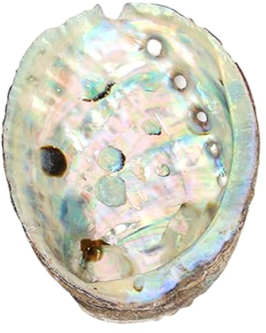 Cuenco para Quemar Salvia, Conchas de abulón de 5 Pulgadas, Cuenco para difuminar seleccionado para sostener Incienso, baratijas y exhibición, Color Aleatorio