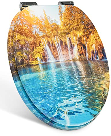 Xonic Design WC-Sitz - Premium Klo-Deckel - Toilettensitz mit Absenkautomatik - hochwertige Klobrille mit Motiv - MDF107