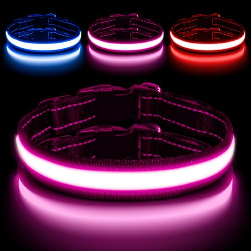 AUAUY Collar Luminoso LED Recargable para Perros, Impermeable y Ajustable, para Pequeños/Medianos/Grandes (Color)
