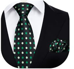 HISDERN Krawatten für Herren Grün Hochzeit Tupfen Krawatte mit Einstecktuch Punkte Klassische Formal Elegante Business