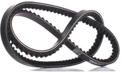 Dayco 10A1010C Correa Trapezoidal