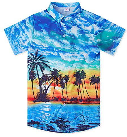 Little & Big Boy's Button Down - Camicia hawaiana a maniche corte, con stampa a cartoni animati, per bambini 7-14T, 1a2 Palma, 11-12 Anni