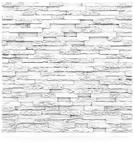 Deccart - 3D Wandpaneele 60x60 cm - Paneele Wand Wall Panels Deko Wandverkleidung Innen Panel Deckenverkleidung Decke Deckenpaneele Platten Styropor EPS-Polystyrol Stein 0.72 m², 2 Stück, weiß
