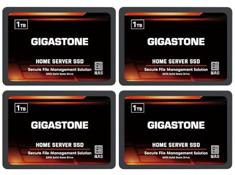 Gigastone Home NAS SSD 1TB (4er-Pack) 24/7 Dauerhaft TLC Hohe Dauerhaltbarkeit Persönlicher Server Cloud Datenspeicher RAID 3D NAND 2,5 Zoll SATA III Interne Solid State Festplatten