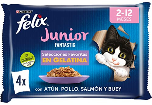 FELIX Fantastic, Comida Húmeda para Gato Junior, Gelatina, Surtido de Buey, Salmón, Pollo y Atún, 12 Packs de 4 Sobres de 85 g. (48 Sobres)