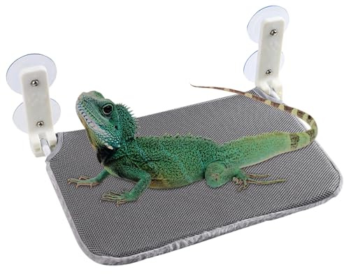 Perchoir pour agames barbus – Branche en bois naturel, plate-forme d'escalade pour reptiles, habitat surélevé sûr, accessoire de terrarium fait à la main | Lieu de repos confortable pour le bassin de