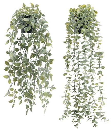 Der Rose 2 plantas artificiales colgantes de eucalipto sintético y vaina de guisantes para decoración bohemia de baño, hogar, oficina, escritorio, estante de pared, estantería, accesorios, decoración