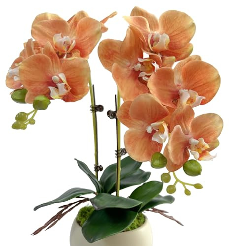 QenyiHPD Realistic Artificial Phalaenopsis Orchid, 2 Stems Orchid Flower Stems (17) + 2 Rooted Leaves (6.5), Fake Flowers with No Maintenance Silk Flower for Home Office Decoration