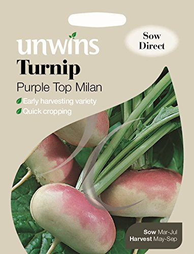 Unwins Pictorial Packet - Turnip Purple Top Milan - 1800 Seeds