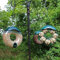 Easipet Hanging Wild Bird Feeder – Donut Shape, Pack of 3 – Ideal for Garden Birds, Easy to Fill & Hang