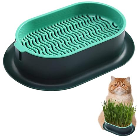 Maceta para Hierba Gatera Caja De Hierba para Gatos Caja Hierba Gatera para Gatos Germinador con Hierba Gatera Jardinera De Hierba para Gatos Bandeja De Cultivo De Germinación, Verde