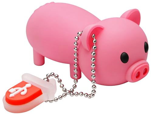 Memoria USB 64GB con Modelo Lindo Cerdo Rosa, BorlterClamp Unidad Flash USB Memory Stick Regalo para Estudiantes y Niños