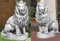 2 Löwen Set (S103037+S103038) Torwächter Gartenfiguren Statuen Steinguss 135 cm Figuren Tiere Deko Dekoration