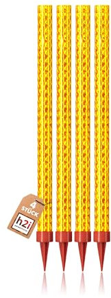 h2i Eissterne | 4 Stück | 120 Sek. Brenndauer | Eisfontäne, Sprühkerze, Wunderkerze - Highlight für Events, Party, Hochzeit, Geburtstag | Tischfeuerwerk & Deko für Flaschen & Torten | Kat F1