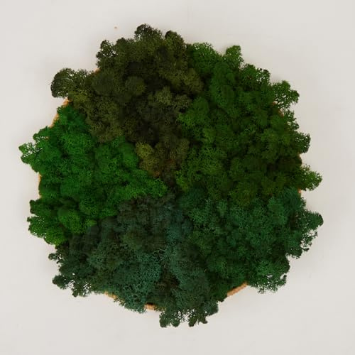 Prefleur Preserved Reindeer Mix Craft Moss Natural Green DIY Kit Gardenning Art Wall Decor Florist Easter Table Decor Wedding Decor (1lb)()(Style-19)