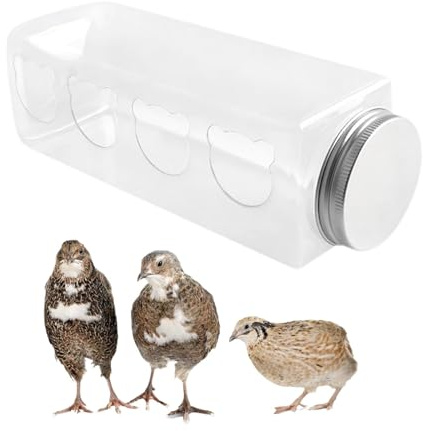 Alimentador para pollitos, caja de alimentación transparente para codornices con botones, bonita alimentación de oso, dispensador de comida de pollo transparente, accesorios de jaula portátil para