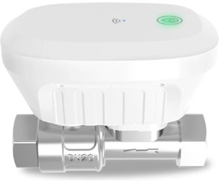Janasiba Tuya Smart WiFi - Válvula de agua con contador de agua, caudal de agua, indicador de temperatura del agua, controlador de aplicación inteligente, enchufe europeo