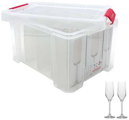 SUNDIS Champ Store, caja almacenaje para copas de champán, plástico transparente, reforzada con tapa de clip, apilable y combinable, capacidad 12 vasos
