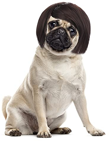 Cobee Parrucca divertente per cani cosplay parrucca per animali domestici costume regolabile copricapo divertente,copricapo per cani di piccola taglia media e parrucche per Halloween decorazioni