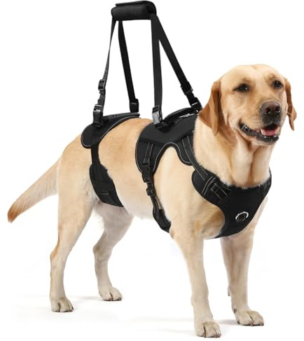NOYAL Dog Lift Harness for Senior & Injured Pets – Full-Body Support Sling with Breathable Mesh, Front/Rear Leg Assist for Arthritis, Hip Dysplasia & Post-Surgery Recovery (Medium-Large Breeds)