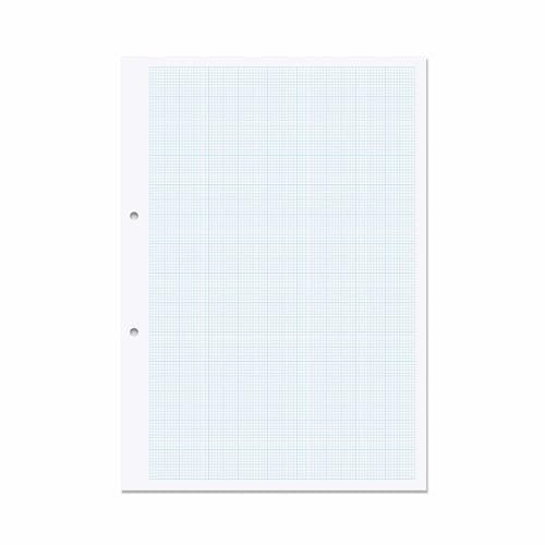 RHINO Stationery A4 Millimeterpapier | 500 Blatt | Loseblattpapier | karierte Lineatur | vorgestanzt | Schulungsstandard Übungspapier