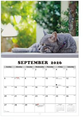 Calendario de Pared de 2026 | Planificador De 13 Meses,Almanaque de Gatos para Pared,Para Salón Dormitorio Despacho Aula Oficina Estudiantes Profesores Consultores Freelancers Taller Estudio