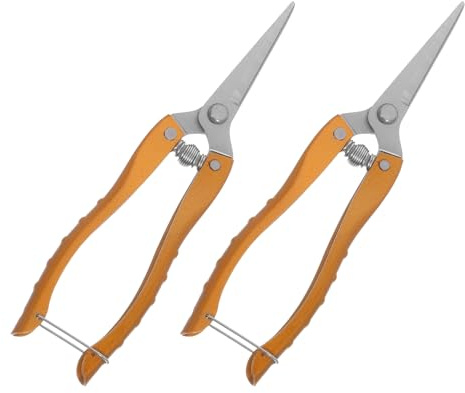 Ipetboom Lot de 2 Sécateurs de Jardin Robustes en Acier Inoxydable Grosse Taille Coupe-Plantes Précis pour Fleurs Arbres et Légumes Outils de Jardinage Légers et Ergonomiques Usage