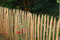 Gartenwelt Riegelsberger 10 Stück Zaunlatte Kastanie 150 cm lang/gespalten - geschält - einseitig angespitzt/Kastanienholz/Stakete/Staketenzaun